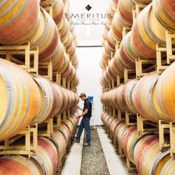 Emeritus Vineyards - A sneak peak of our barrel room
