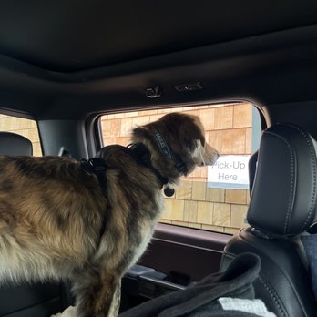 Fred‘s  Famous Donuts - Hudson giving the "ol' razzle dazzle" for more treats at the second window - Coffee & Tea Near Me - Tannersville, New York