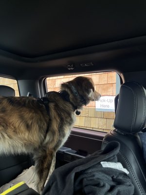 Fred's Coffee & Donuts by null