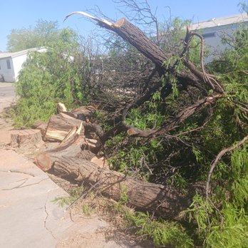 Jays Landscaping - Cut down tree - Tree Services Near Me