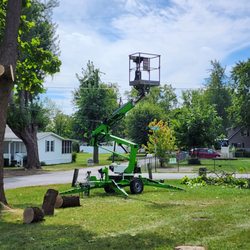 Rupert's Tree trimming & Removal