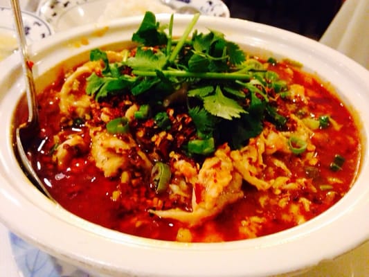 Da Sichuan Bistro by null