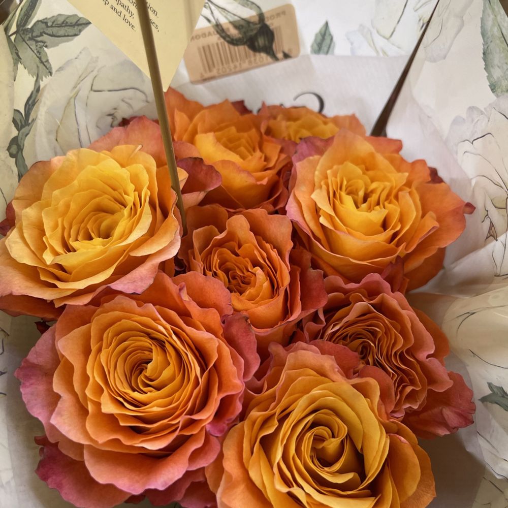 Trader Joe's - Beautiful roses - Grocery Near Me - La Grange, Illinois Trader Joe's - Beautiful roses - Grocery Near Me - La Grange, Illinois