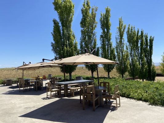 Long Shadows Winery by null