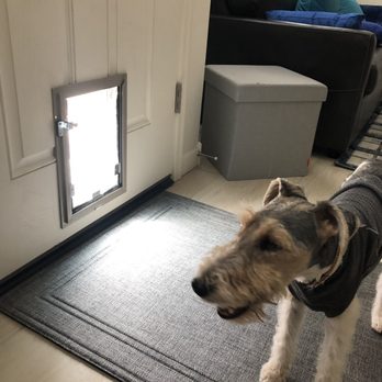 Tucson Doggie Doors - Hale dog door installed by Tucson Dog Doors. - Pet Waste Removal Near Me