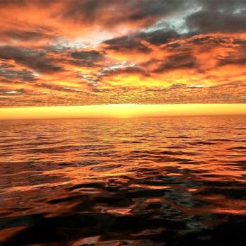 Fathom + Farm - a sunset over the ocean - Seafood Markets Near Me - Wilmington, North Carolina Fathom + Farm - a sunset over the ocean - Seafood Markets Near Me - Wilmington, North Carolina