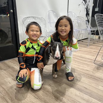 Groundworks Jiu Jitsu Academy - Can't forget "Cookie". The shop dog. - Brazilian Jiu-jitsu Near Me - South Pasadena, California Groundworks Jiu Jitsu Academy - Can't forget "Cookie". The shop dog. - Brazilian Jiu-jitsu Near Me - South Pasadena, California