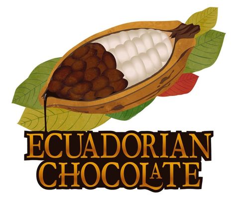 Ecuadorian Chocolate Factory by null