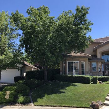Friendly Tree Care - 19 year old Bradford Tree (ready to split) before and after. - Tree Services Near Me