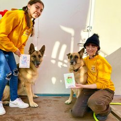 South Park Doggie - Doggieland LA - Pawcasso art classes are now available at Doggieland!