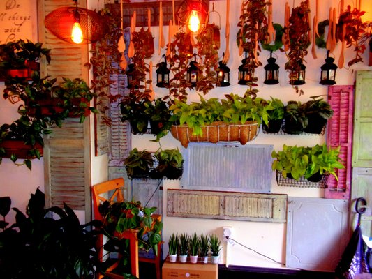 Coco Thai Bistro by null