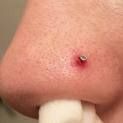 Hunter Gatherer Tattoo & Piercing