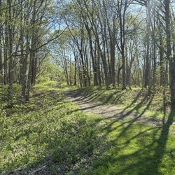Silver Springs State Park - Toboggan Hill