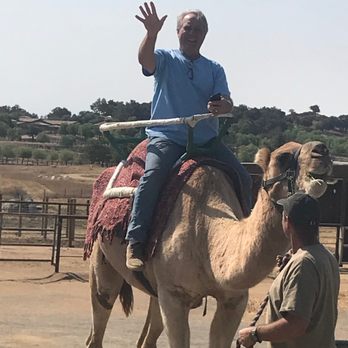 Oasis Camel Dairy - Attraction Farms Near Me - Ramona, California Oasis Camel Dairy - Attraction Farms Near Me - Ramona, California