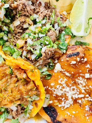Birria-Landia by null