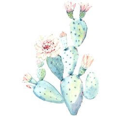 Blooming Cactus Counseling