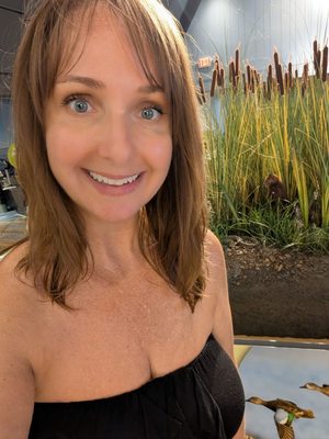 Bay City State Park by null