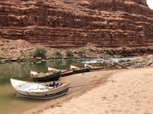 Grand Canyon Expeditions by null
