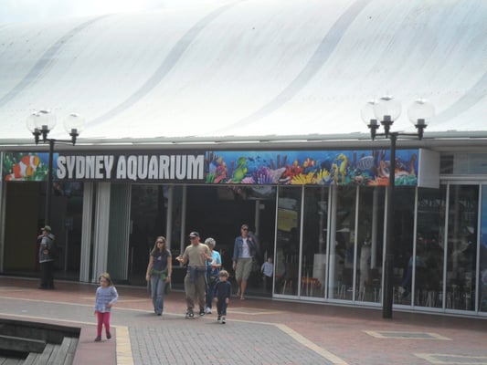 SEA LIFE Sydney Aquarium by null