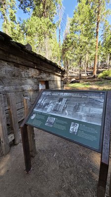 General Grant Tree by null