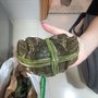 華記永昌號