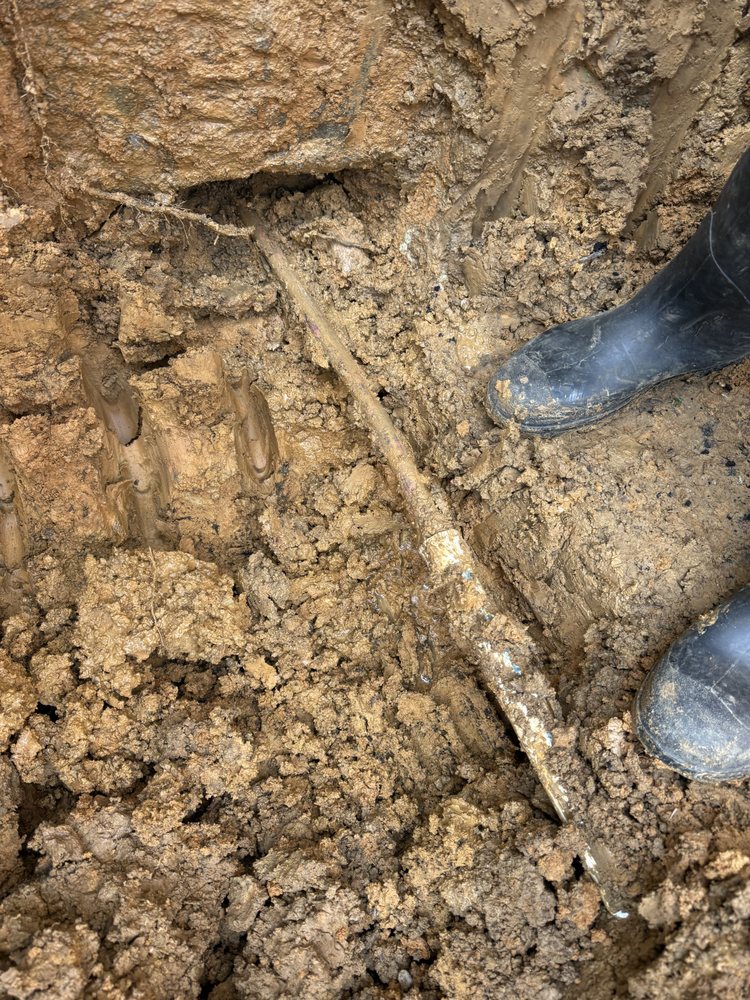 Platinum - septic in Shelbyville, KY