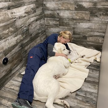 Kindred Animal Hospital - Veterinarians Near Me - Kyle, Texas Kindred Animal Hospital - Veterinarians Near Me - Kyle, Texas