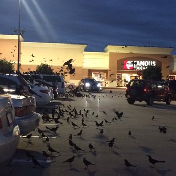 Target - Parking lot with the birds (there are a lot but not as many in general as the night I took the video and photo) - Department Stores Near Me - Cypress, Texas