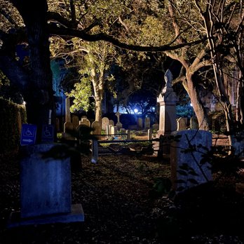 Tour Charleston, LLC - Walking Tours Near Me - Charleston, South Carolina Tour Charleston, LLC - Walking Tours Near Me - Charleston, South Carolina