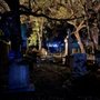 Photo of Tour Charleston, LLC