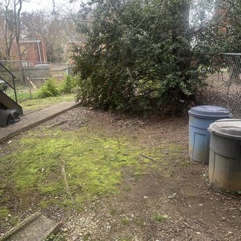 Kyle landscaping - Backyard cut - Tree Services Near Me Kyle landscaping - Backyard cut - Tree Services Near Me