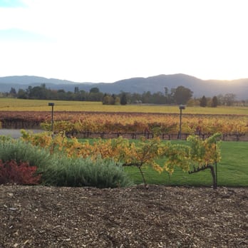 Mumm Napa - The view from the winery - Wine Tasting Room Near Me - Rutherford, California Mumm Napa - The view from the winery - Wine Tasting Room Near Me - Rutherford, California