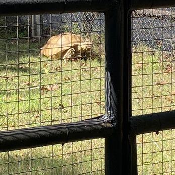 Montgomery Zoo - Zoos Near Me - Montgomery, Alabama