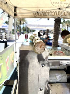 Las Olas Oceanside Park by null