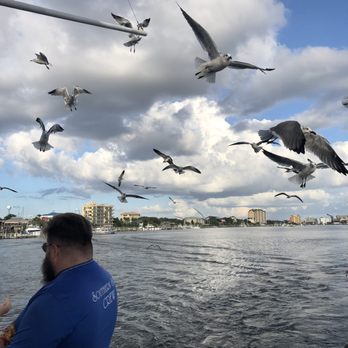 Southern Star Dolphin Cruise - Whale Watching Tours Near Me - Destin, Florida Southern Star Dolphin Cruise - Whale Watching Tours Near Me - Destin, Florida