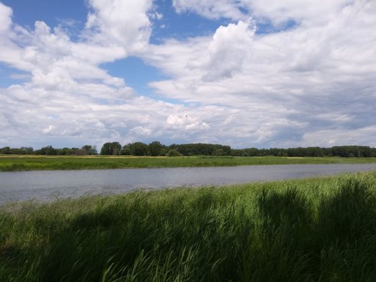 Boucherville Islands National Park by null