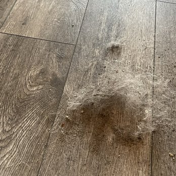 Stonewall Resort - Had to clean the cottage ourselves. This is just what came off the living room floor. - Hotels Near Me - Roanoke, West Virginia