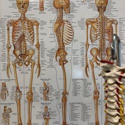 Half Moon Bay Chiropractic