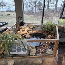 Interior - Turtle enclosure