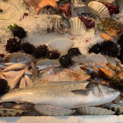 Antica Sicilia - Spigola (Sea bass) & other fresh fish