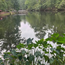 Woodsy Hollow Campground