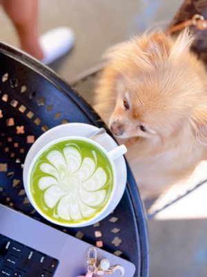 Urth Caffe Beverly Hills by null