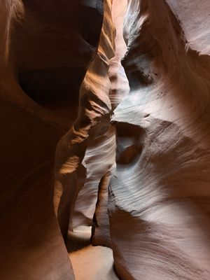 ROAM Outdoor Adventure Co by null