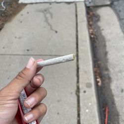 The Reef - Don't miss out on these awesome joints