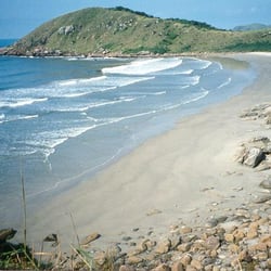 Ponta do Mel - Divulgação