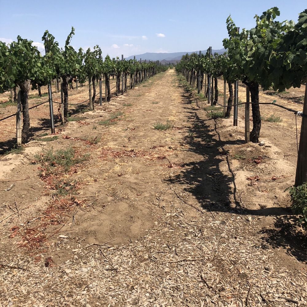 Ponte Vineyard Inn - Hotels Near Me - Temecula, California Ponte Vineyard Inn - Hotels Near Me - Temecula, California