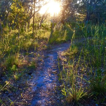 Econlockhatchee Sandhills Conservation Area - Hiking Near Me - Orlando, Florida Econlockhatchee Sandhills Conservation Area - Hiking Near Me - Orlando, Florida
