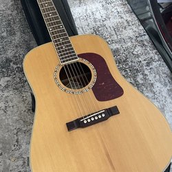 Our 20 plus year old Washburn.