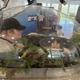 Inside a terrarium
