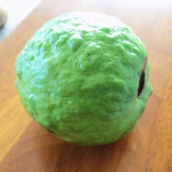 Evans Groceries - Green Guava. I see you & now I'm gonna eat you!